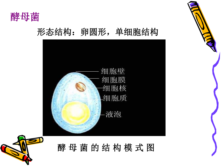 一段时间后讲解课件.ppt_第3页