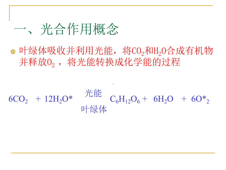 光合作用过程2复习新课件.ppt_第2页