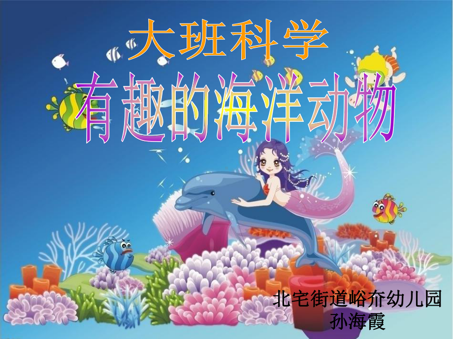 大班科学：有趣的海洋动物课件.ppt_第1页