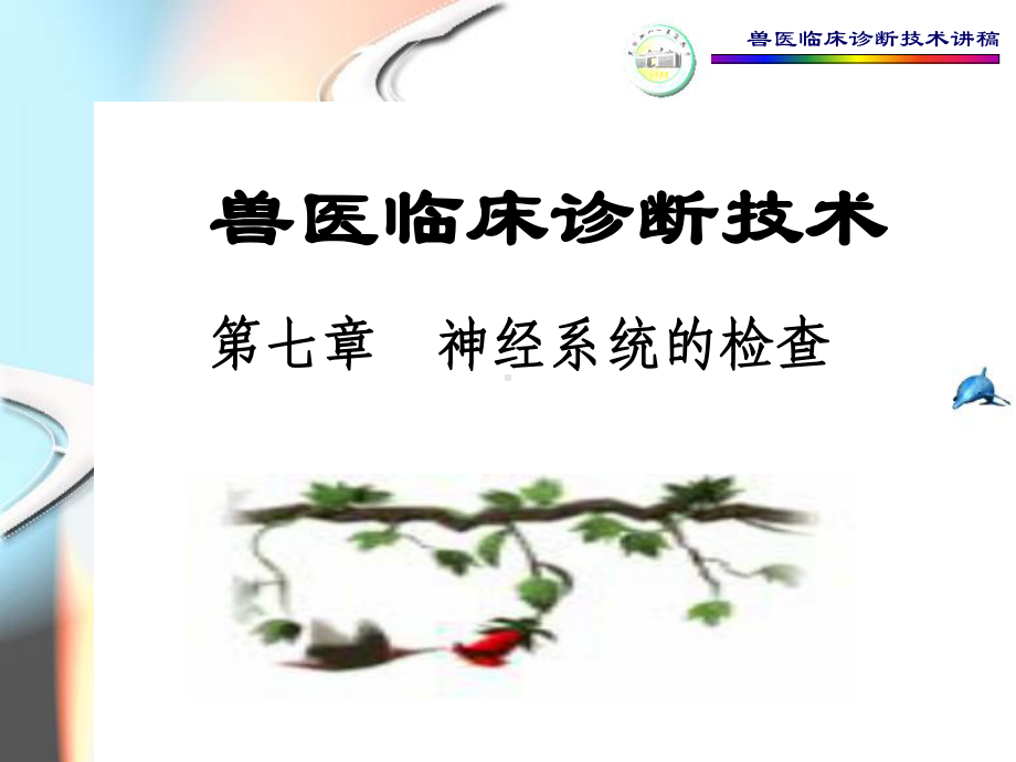 兽医临床诊断技术-附件课件.ppt_第1页