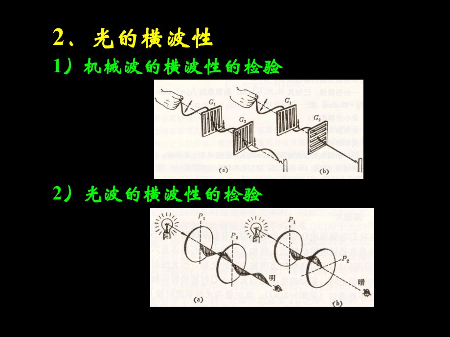 大学光学经典课件L12--光的横波性与五种偏振态.ppt_第3页