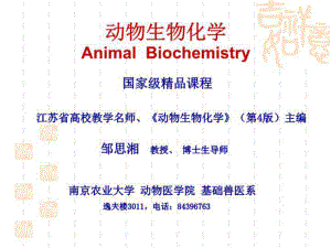 动物生物化学-课件.ppt