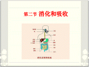 《消化和吸收》人体的营养教学课件2.ppt