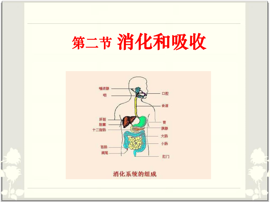 《消化和吸收》人体的营养教学课件2.ppt_第1页