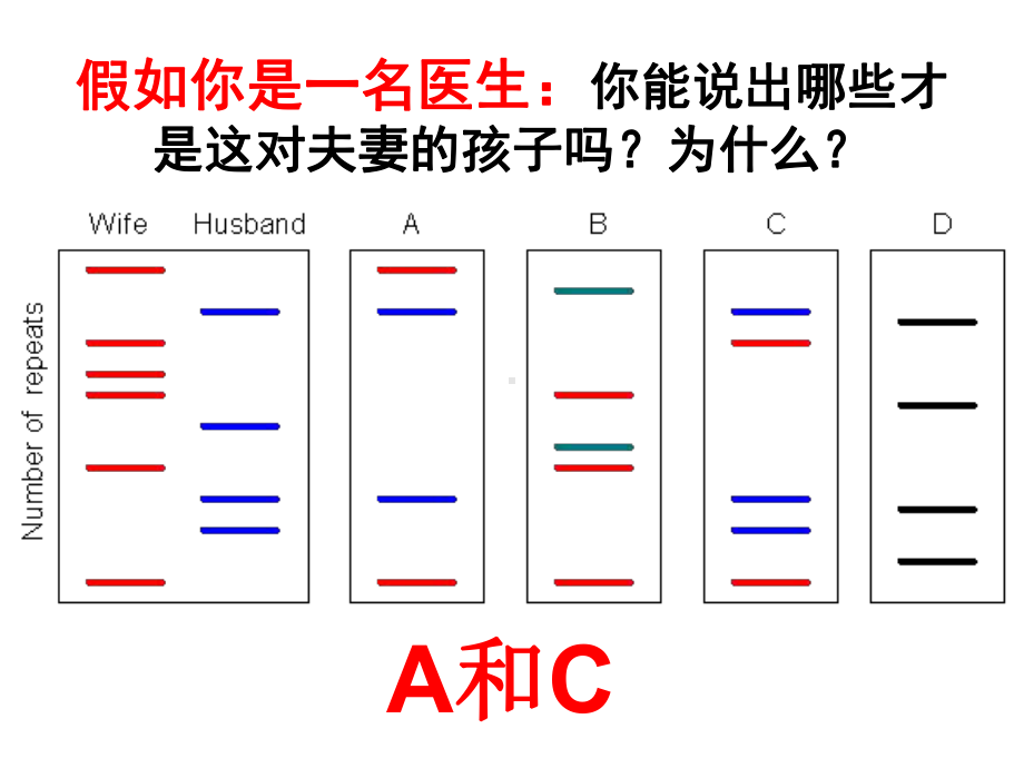 人教版高中生物必修一第二章第3节《遗传信息的携带者-核酸》优秀课件-(共53张).ppt_第2页