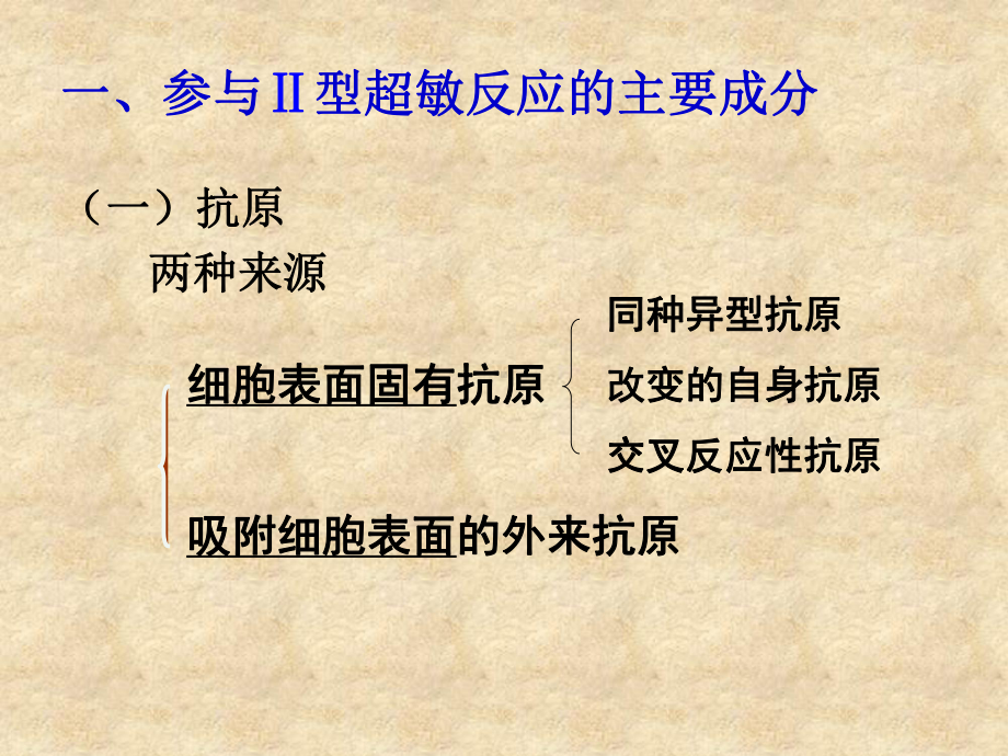 《超敏反应》课件.ppt_第3页