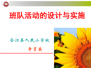 《班队活动的设计与实施》课件.ppt