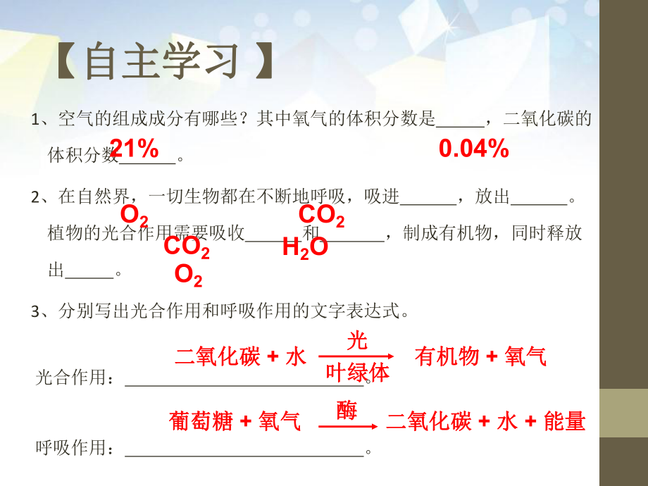 《自然界中的氧循环和碳循环》-课件.pptx_第2页