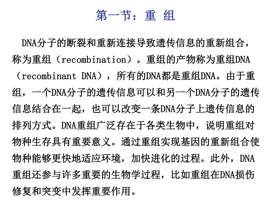 同源重组(95张)课件.ppt_第1页