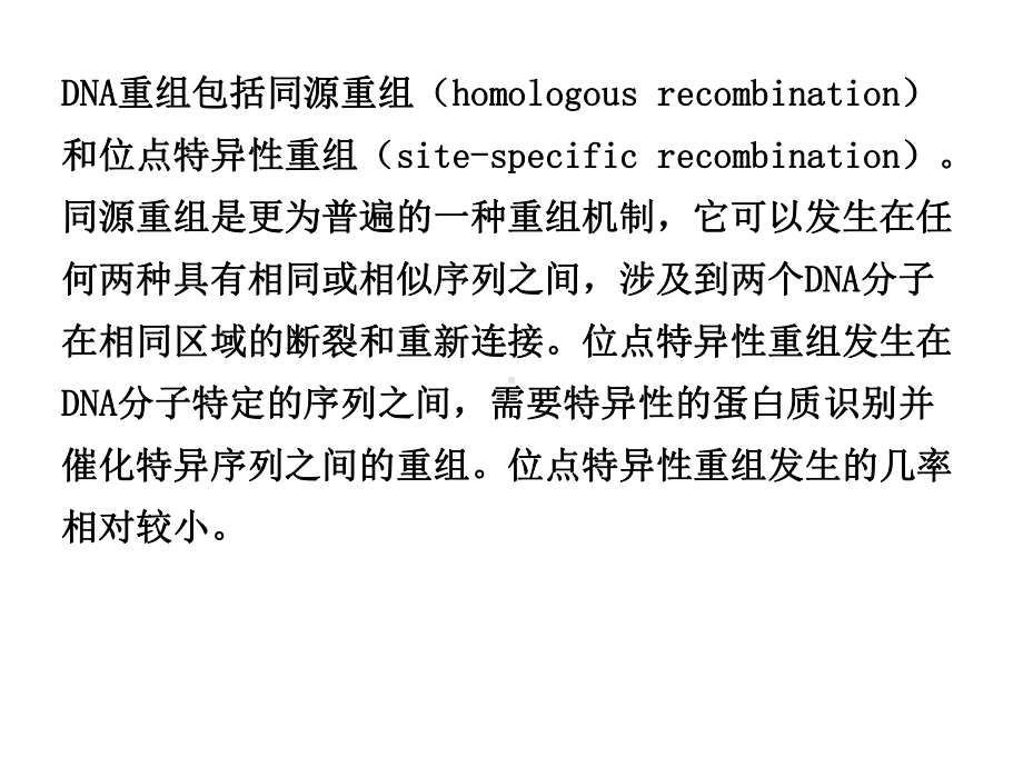 同源重组(95张)课件.ppt_第2页