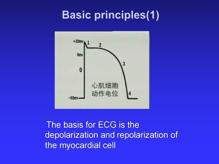 临床诊断学心电图-正常课件.ppt_第3页