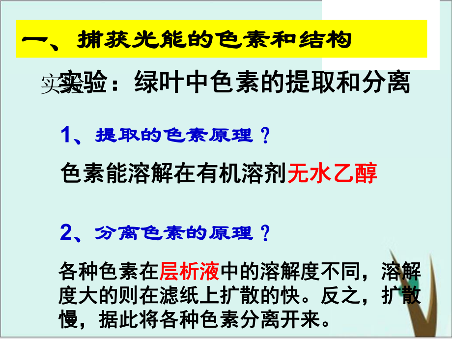 《光合作用与能量转化》人教版高中生物教用课件1.ppt_第3页