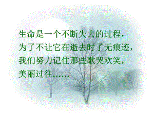 《项脊轩志》公开课课件.ppt