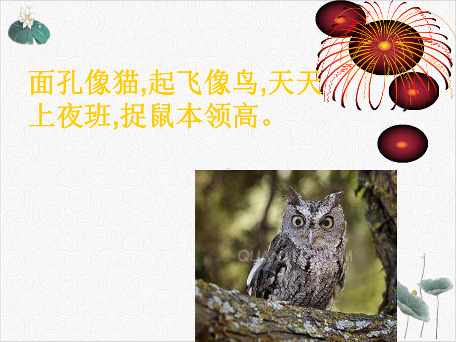 可爱的动物完美课件部编版4.ppt_第3页