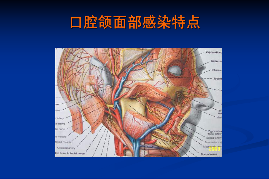 口第九章-腔颌面部感染课件1.ppt_第3页