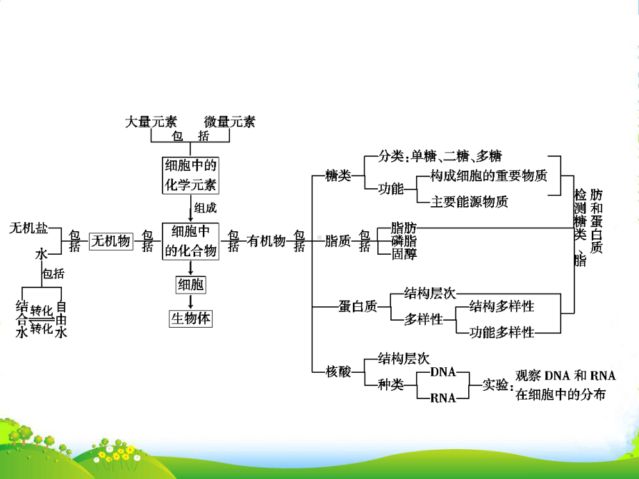 （状元之路）高中生物第一轮复习-组成细胞的分子课件.ppt_第2页