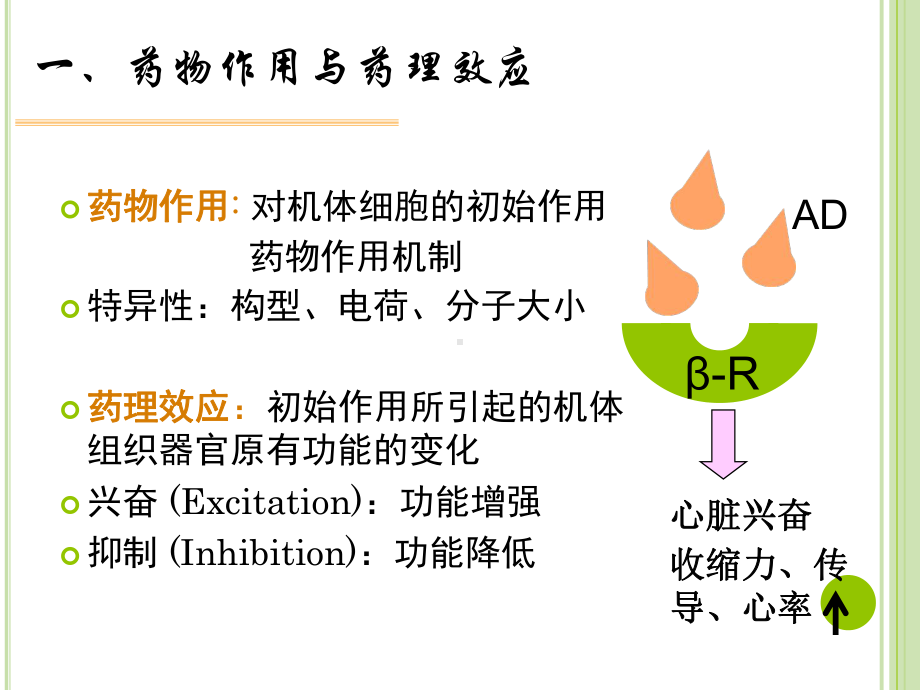 临床药理学第3章-药效学课件.ppt_第3页