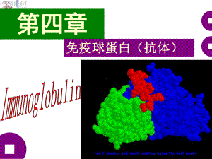 免疫球蛋白课件-2.ppt