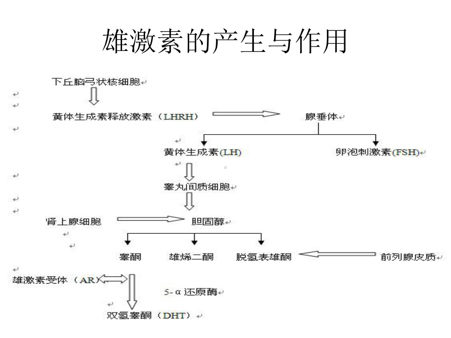 前列腺癌内分泌概论课件.ppt_第3页