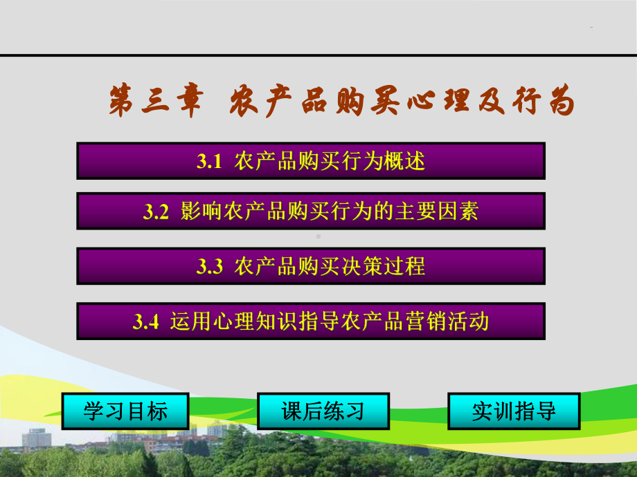 农产品购买心理及行为-影响农产品购买行为的主要因(-34张)课件.ppt_第1页