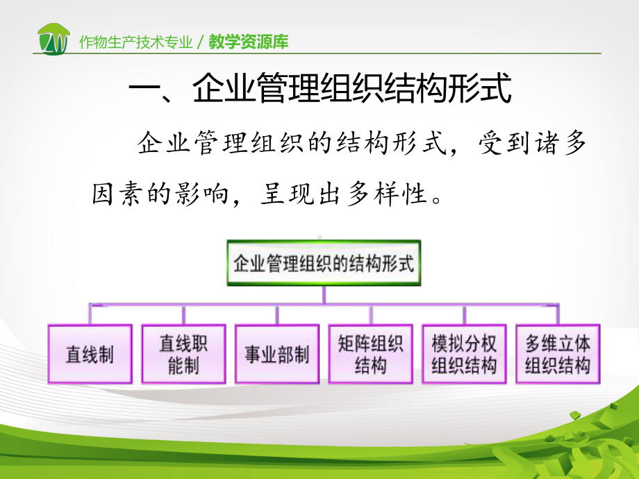 农业企业管理组织形式与结构变革课件.ppt_第3页