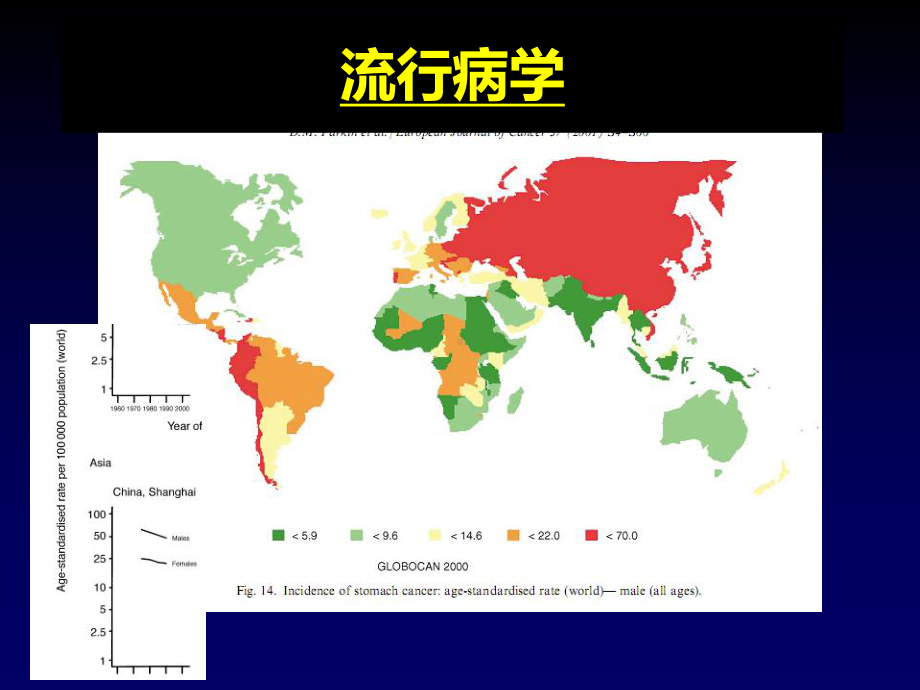 内科学课件14-胃癌.ppt_第3页