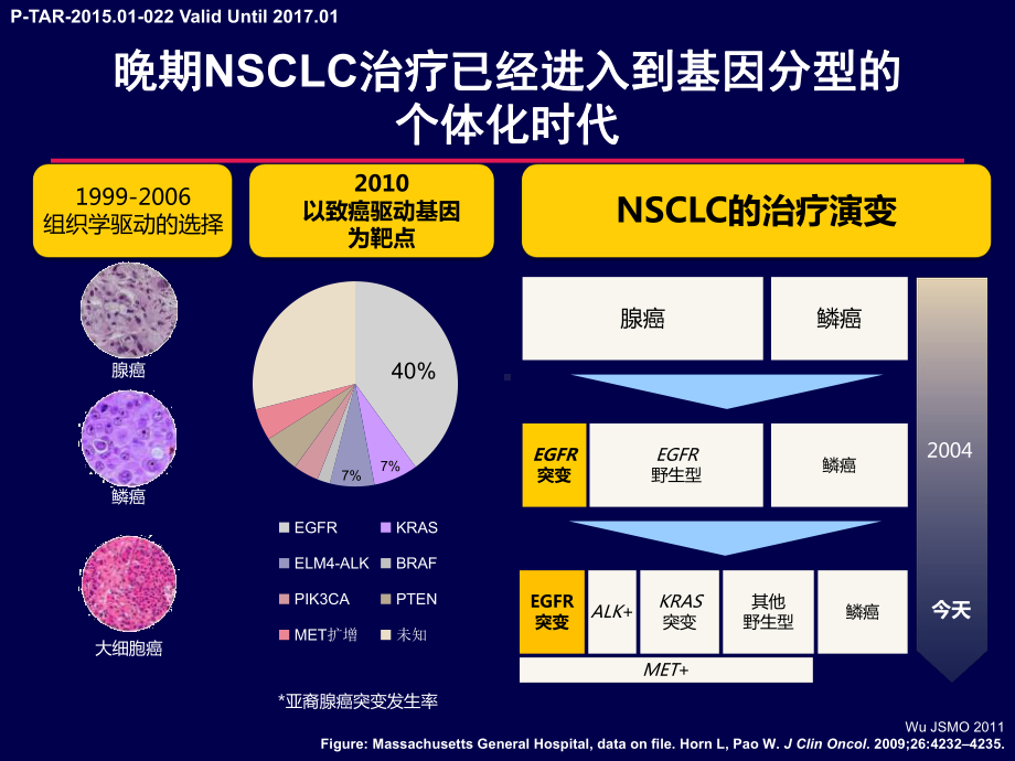 再谈EGFR突变阳性非小细胞肺癌患者的全程管理医学课件.pptx_第3页