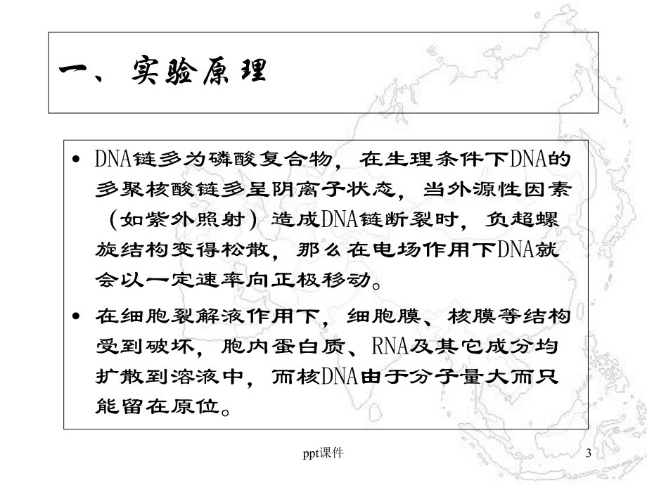 单细胞凝胶电泳-课件.ppt_第3页