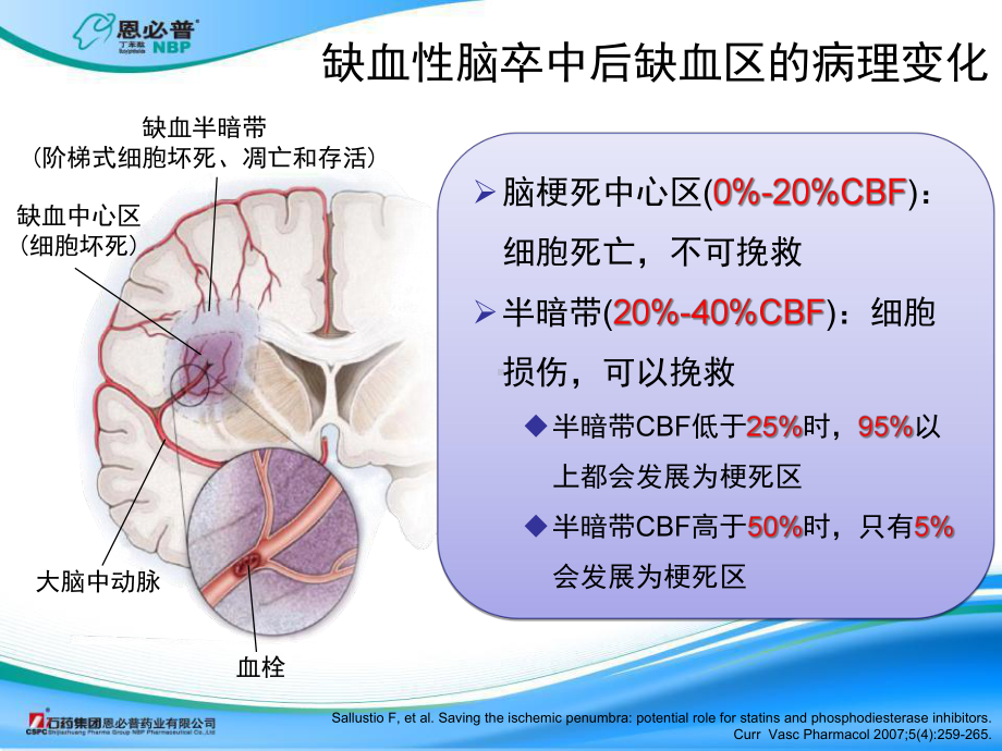 丁苯酞作用机制-课件.ppt_第3页