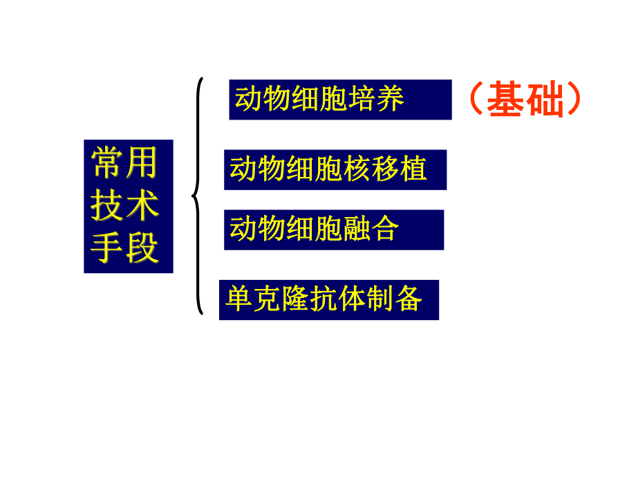 [高等教育]动物细胞培养和核移植技术讲课课件.ppt_第2页