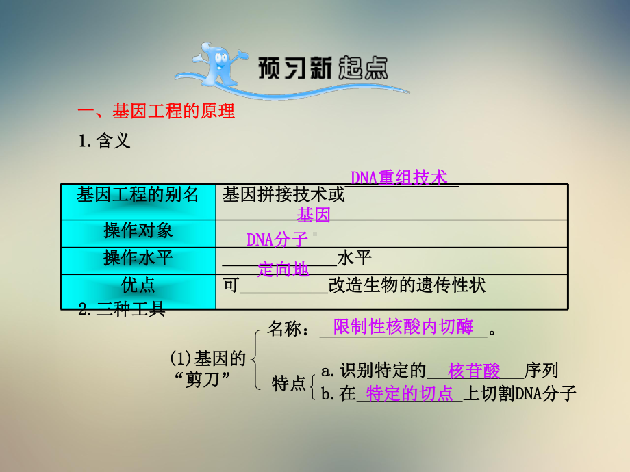 （人教版）高中生物必修二《-基因工程及其应用》课件.ppt_第2页