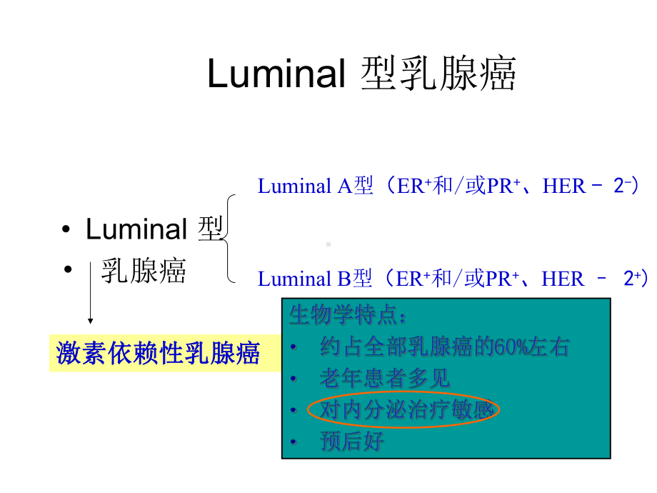 乳腺癌分子分型概要课件.ppt_第3页