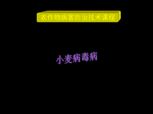 土传花叶病课件.ppt