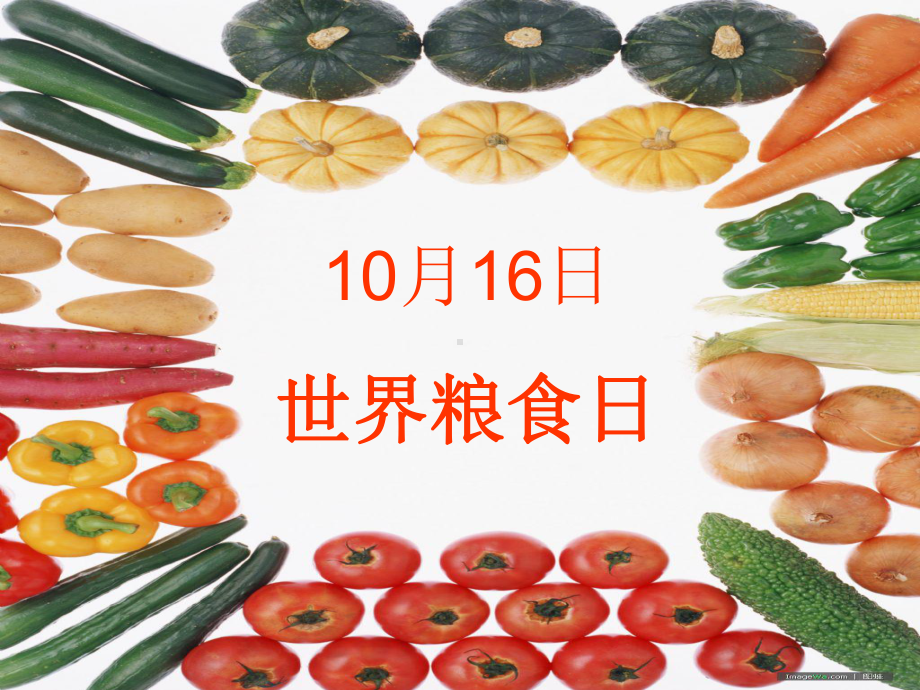 世界粮食日主题班会课件.ppt_第1页