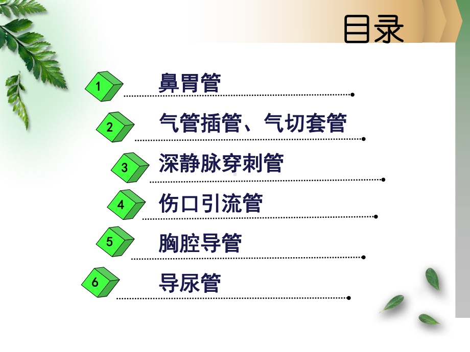 各类导管的护理111课件.ppt_第2页