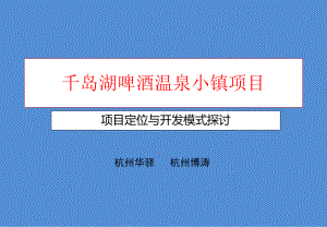 千岛湖项目思路1219课件.ppt