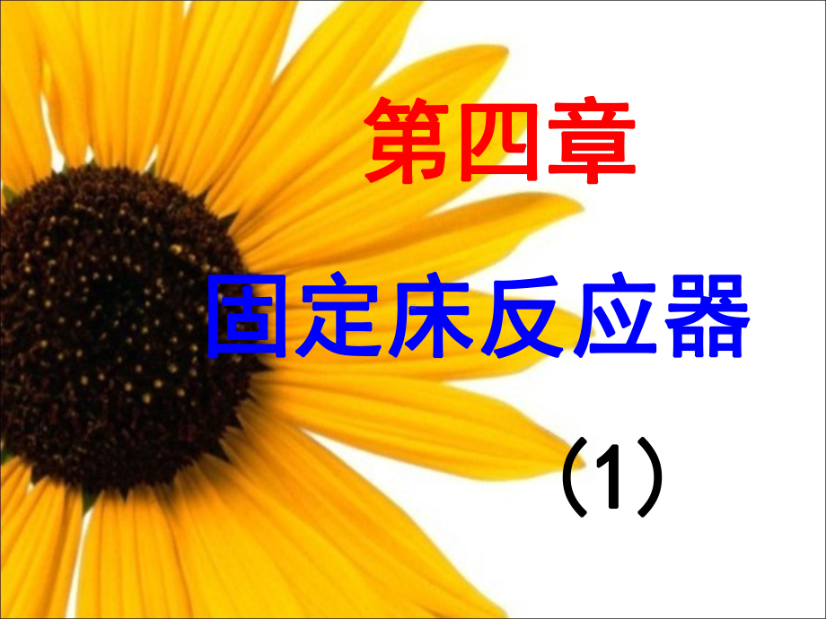 固定床反应器课件-2.ppt_第1页