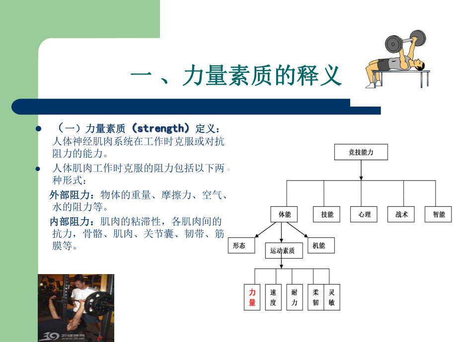 力量素质及其训练-课件.ppt_第3页