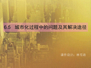 《城市化过程中的问题及其解决途径》-人教版课件.ppt