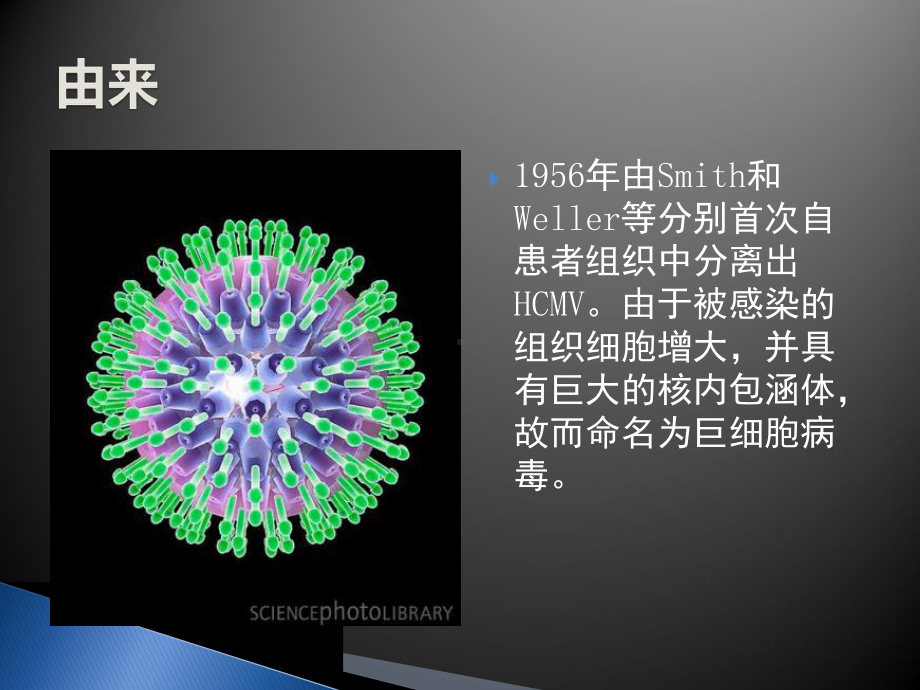 儿童巨细胞病毒性疾病诊断和防治课件.ppt_第2页