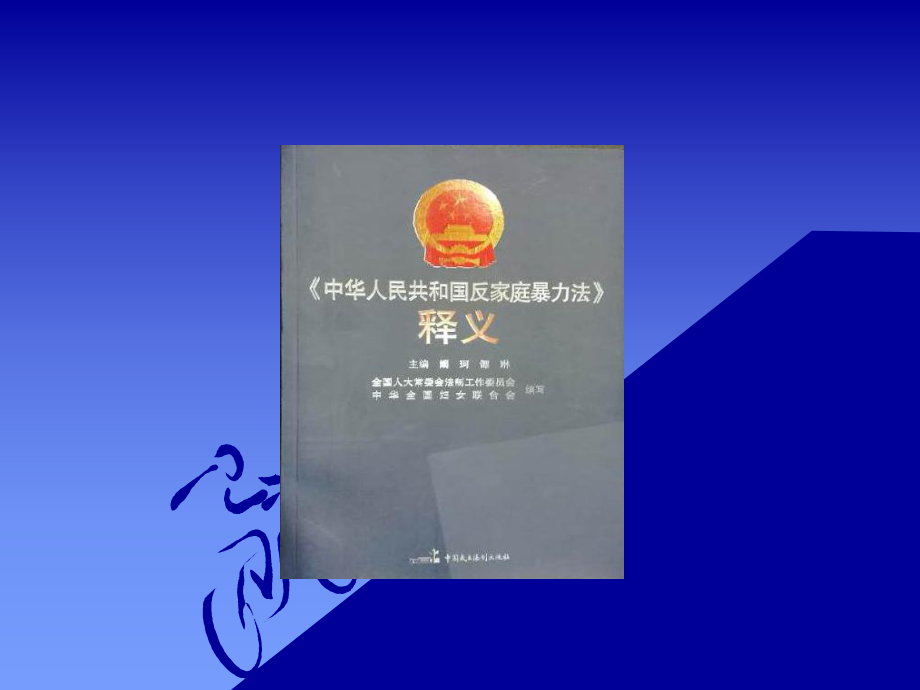 反家暴法解读课件.ppt_第2页