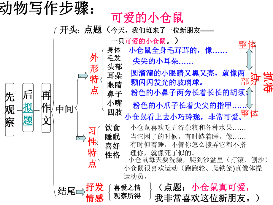 《可爱的小仓鼠》作文课件解析.ppt_第3页