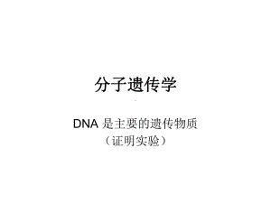 分子遗传学-(共33张)课件.ppt