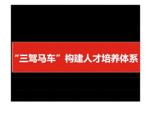 “三驾马车”构建人才培养体系课件.ppt