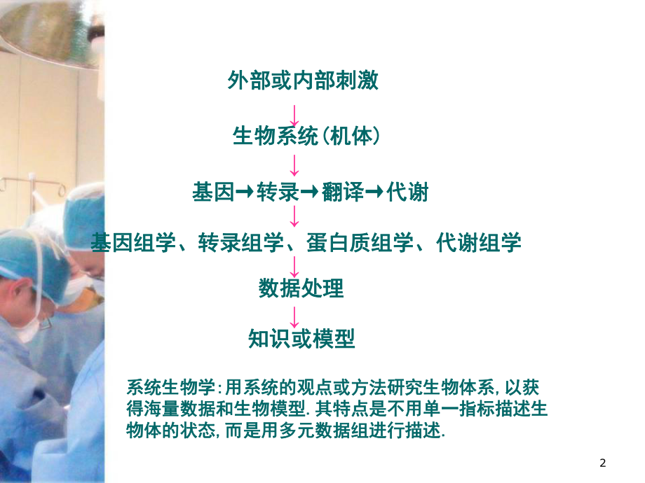 代谢组学医学课件.ppt_第2页