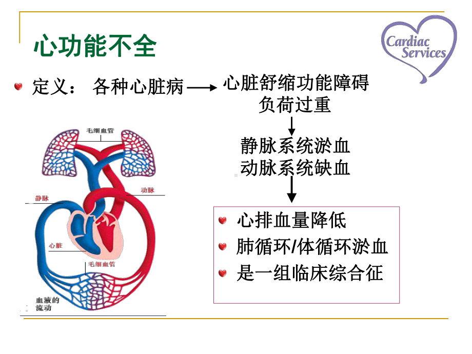 创伤中急性肾衰的危险因素、病理生理及预后课件.ppt_第3页