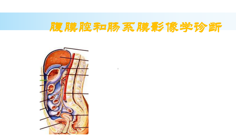 （影像诊断）腹膜腔和肠系膜影像学诊断课件.ppt_第1页