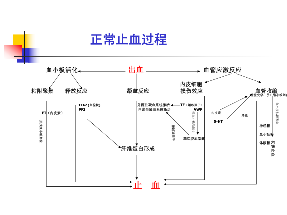 出血性疾病课件.ppt_第3页