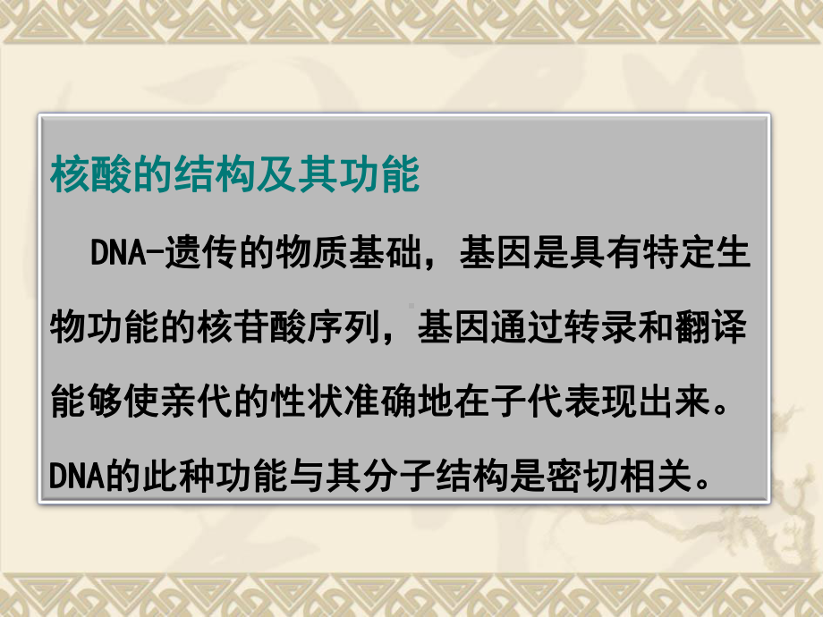 分子生物学第二章DNA结构与复制课件.ppt_第2页