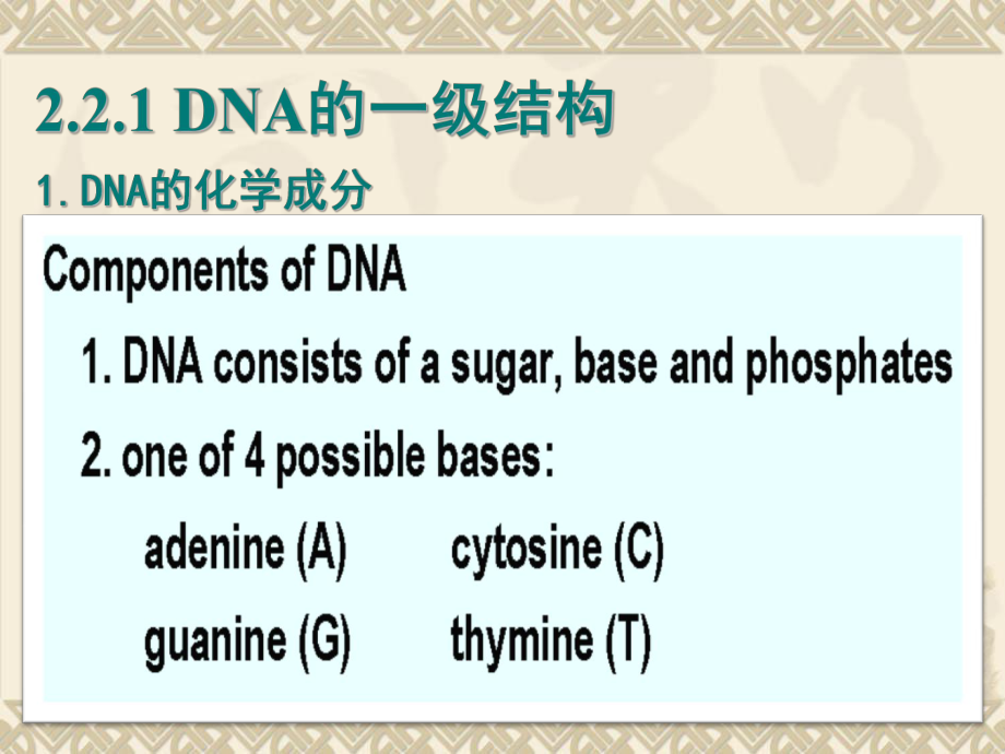 分子生物学第二章DNA结构与复制课件.ppt_第3页